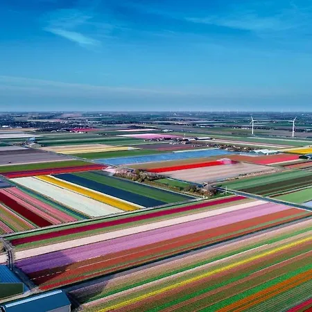 Comfortable Close To The Coast *