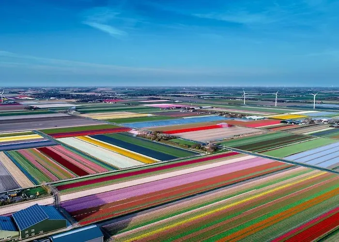 Comfortable Close To The Coast *